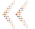 Client Image